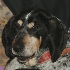 Meet your Posher, Cory